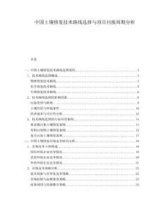 中國(guó)土壤修復(fù)技術(shù)路線選擇與項(xiàng)目回報(bào)周期分析