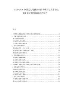 2025-2030中國(guó)無(wú)人駕駛汽車(chē)技術(shù)研發(fā)行業(yè)市場(chǎng)供需分析及投資風(fēng)險(xiǎn)評(píng)估報(bào)告