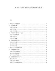 吸頂燈行業(yè)自媒體營銷效果監(jiān)測與優(yōu)化