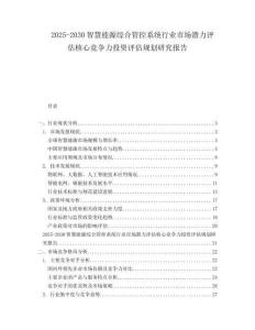 2025-2030智慧能源綜合管控系統(tǒng)行業(yè)市場潛力評估核心競爭力投資評估規(guī)劃研究報(bào)告