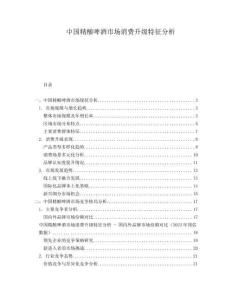 中國(guó)精釀啤酒市場(chǎng)消費(fèi)升級(jí)特征分析