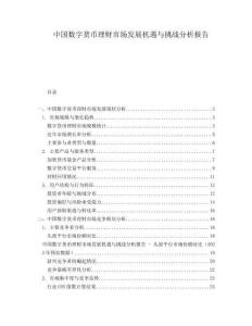 中國數(shù)字貨幣理財市場發(fā)展機遇與挑戰(zhàn)分析報告