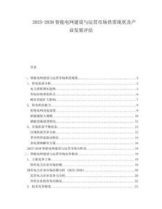 2025-2030智能電網(wǎng)建設(shè)與運(yùn)營市場供需現(xiàn)狀及產(chǎn)業(yè)發(fā)展評估