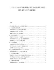 2025-2030中國智能電網(wǎng)建設(shè)行業(yè)市場現(xiàn)狀供需分析及投資可行性規(guī)劃報(bào)告