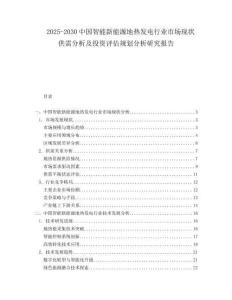 2025-2030中國智能新能源地熱發(fā)電行業(yè)市場現狀供需分析及投資評估規(guī)劃分析研究報告