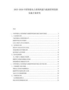 2025-2030中國智能電力系統(tǒng)構(gòu)建與能源管理創(chuàng)新實(shí)施方案研究