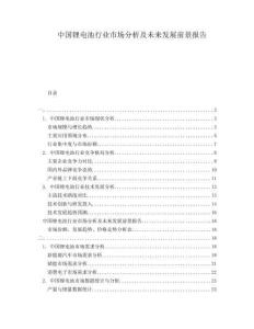 中國鋰電池行業(yè)市場分析及未來發(fā)展前景報告