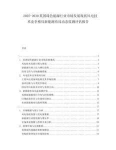 2025-2030英國綠色能源行業(yè)市場發(fā)展現(xiàn)狀風(fēng)電技術(shù)競爭格局新能源布局動態(tài)監(jiān)測評估報告