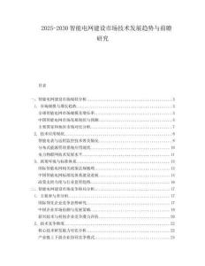 2025-2030智能電網(wǎng)建設(shè)市場技術(shù)發(fā)展趨勢與前瞻研究