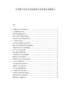 中國數(shù)字化支付市場現(xiàn)狀及未來增長預測報告