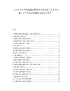2025-2030中國智能穿戴設(shè)備無線充電行業(yè)市場供需分析及投資評估規(guī)劃分析研究報告