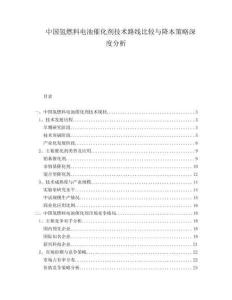中國氫燃料電池催化劑技術(shù)路線比較與降本策略深度分析