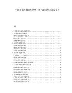 中國精釀啤酒市場消費升級與渠道變革深度報告