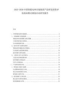 2025-2030中國(guó)智能電網(wǎng)市場(chǎng)現(xiàn)狀產(chǎn)品研發(fā)投資評(píng)估商業(yè)模式規(guī)劃企業(yè)研究報(bào)告