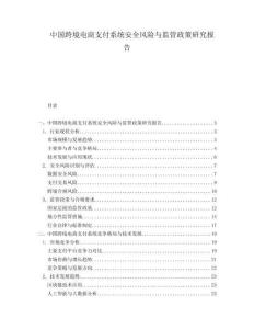 中國跨境電商支付系統(tǒng)安全風(fēng)險(xiǎn)與監(jiān)管政策研究報(bào)告