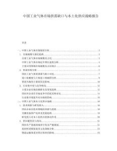 中國工業(yè)氣體市場供需缺口與本土化供應戰(zhàn)略報告