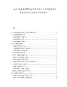 2025-2030中國智能城市建設項目行業(yè)市場供需分析及投資評估規(guī)劃分析研究報告