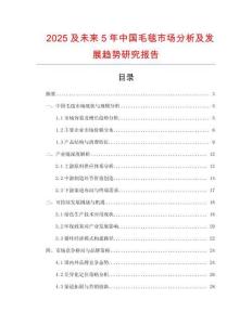 2025及未來5年中國毛毯市場分析及發展趨勢研究報告