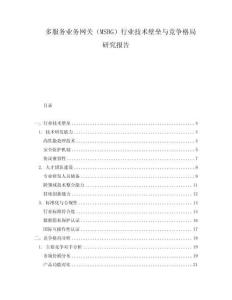 多服務(wù)業(yè)務(wù)網(wǎng)關(guān)（MSBG）行業(yè)技術(shù)壁壘與競(jìng)爭(zhēng)格局研究報(bào)告