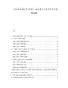 多服務(wù)業(yè)務(wù)網(wǎng)關(guān)（MSBG）在農(nóng)業(yè)信息化中的實(shí)踐案例剖析