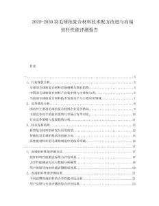 2025-2030羽毛球拍復(fù)合材料技術(shù)配方改進(jìn)與高端拍桿性能評(píng)測(cè)報(bào)告