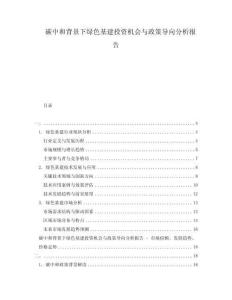 碳中和背景下綠色基建投資機會與政策導向分析報告