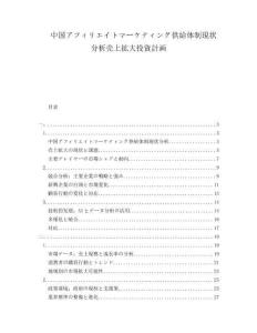 中國アフィリエイトマーケティング供給體制現狀分析売上拡大投資計畫