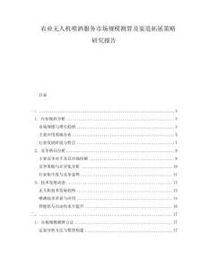 農(nóng)業(yè)無人機(jī)噴灑服務(wù)市場(chǎng)規(guī)模測(cè)算及渠道拓展策略研究報(bào)告