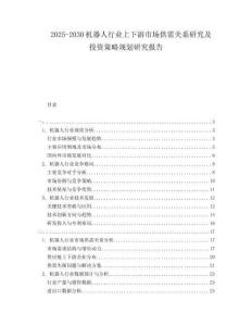 2025-2030機器人行業(yè)上下游市場供需關(guān)系研究及投資策略規(guī)劃研究報告