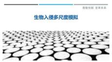 生物入侵多尺度模擬