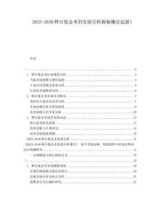 2025-2030輝石煉金術的發展歷程揭秘魔法起源！