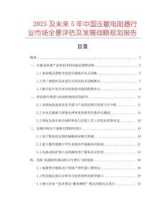 2025及未來5年中國壓敏電阻器行業(yè)市場全景評估及發(fā)展戰(zhàn)略規(guī)劃報(bào)告