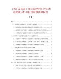 2025及未來5年中國伊利石行業市場深度分析與投資前景預測報告