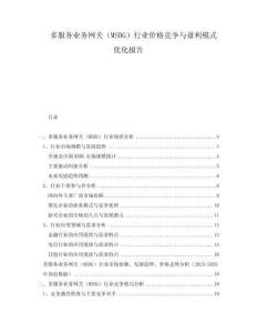 多服務(wù)業(yè)務(wù)網(wǎng)關(guān)（MSBG）行業(yè)價(jià)格競(jìng)爭(zhēng)與盈利模式優(yōu)化報(bào)告