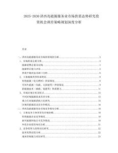 2025-2030澤西島能源服務(wù)業(yè)市場供需態(tài)勢研究投資機(jī)會(huì)調(diào)差策略規(guī)劃深度分析