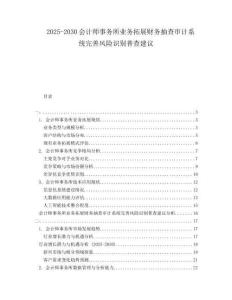 2025-2030會計師事務所業務拓展財務抽查審計系統完善風險識別普查建議