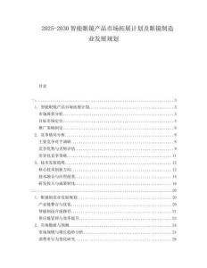 2025-2030智能眼鏡產品市場拓展計劃及眼鏡制造業發展規劃
