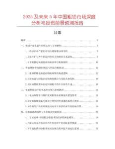 2025及未來5年中國粗鉛市場深度分析與投資前景預(yù)測報(bào)告