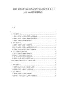 2025-2030油電混合動力汽車市場切磋競爭格局與創(chuàng)新方向投資規(guī)劃指導