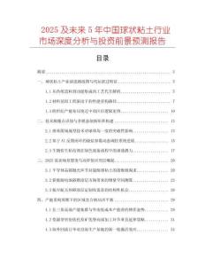 2025及未來5年中國(guó)球狀粘土行業(yè)市場(chǎng)深度分析與投資前景預(yù)測(cè)報(bào)告