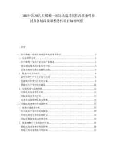 2025-2030約旦磷酸一銨制造端持續性改善條件探討及區域政策調整特性項目解析綱要