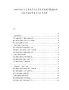 2025-2030有色金屬冶煉過程中重金屬回收技術專利組合深度價值研究分析報告