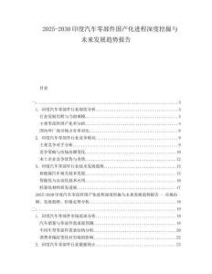 2025-2030印度汽車零部件國產化進程深度挖掘與未來發展趨勢報告