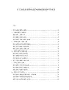 牙買加旅游服務(wù)業(yè)競爭態(tài)勢及旅游產(chǎn)品開發(fā)