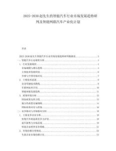 2025-2030趙先生的智能汽車行業市場發展趨勢研判及智能網聯汽車產業化計劃