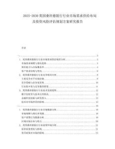 2025-2030英國桑坦德銀行行業市場需求供給布局及投資風險評估規劃方案研究報告