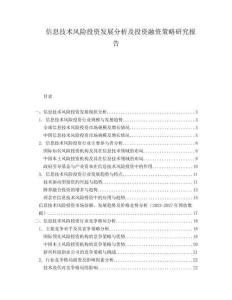 信息技術風險投資發展分析及投資融資策略研究報告
