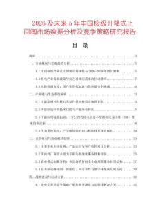 2026及未來5年中國核級升降式止回閥市場數據分析及競爭策略研究報告