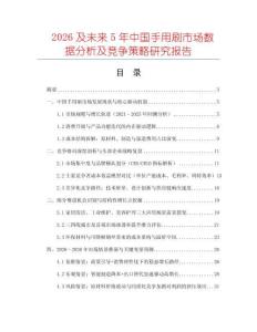 2026及未來5年中國手用刷市場數據分析及競爭策略研究報告