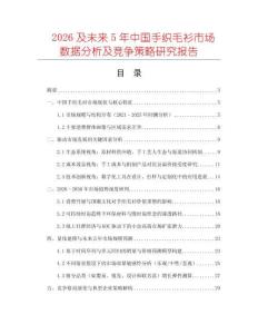 2026及未來5年中國手織毛衫市場數據分析及競爭策略研究報告